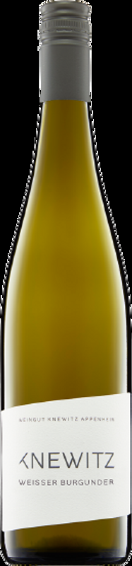 Weisser Burgunder Weingut Knewitz - 2023 - Rheintal, Deutschland