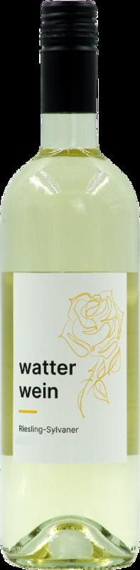Watter Riesling-Sylvaner AOC Landolt Weine - 2024 - Zürich, Schweiz