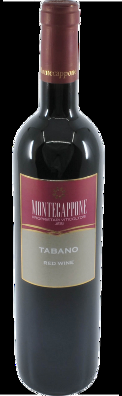 Tabano Vino Rosso IGT Marche Montecappone - 2010 - Marche, Italien