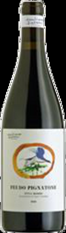 Feudo Pignatone Etna Rosso DOC Emiliano Falsini - 2024 - Sizilien, Italien