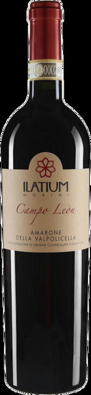 Amarone Leòn Latium - 2019 - Veneto, Italien