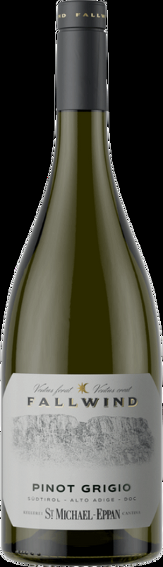 St. Michael Fallwind Pinot Grigio Alto Adige DOC Kellerei St-Michael - 2024 - Südtirol, Italien