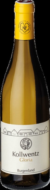 Chardonnay Gloria Anton Kollwentz - 2023 - Burgenland, Österreich