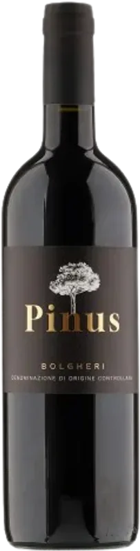 Pinus Bolgheri Rosso - 2024 - Toskana, Italien