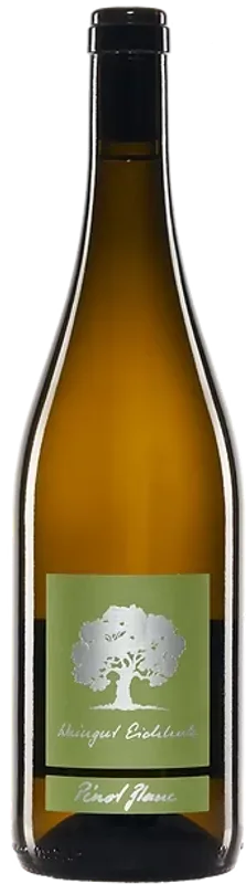 Weingut Eichholz  Jeninser Pinot Blanc AOC Graubünden - 2025  - Schweiz