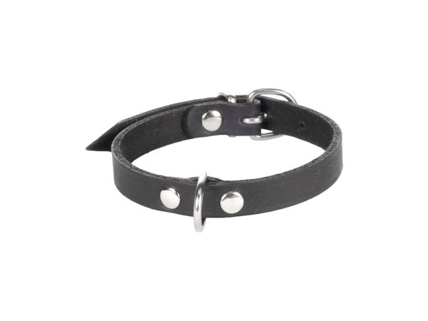 Flamingo, Hund Unterwegs, Flamingo Halsband Leder Seattle schwarz M, Produkte & Wohnen