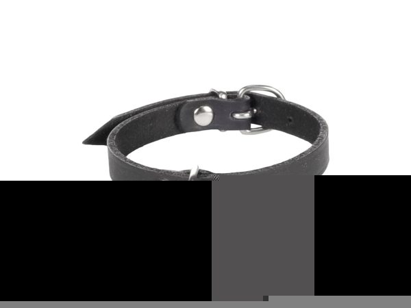 Flamingo, Hund Unterwegs, Flamingo Halsband Leder Seattle schwarz S, Produkte & Wohnen