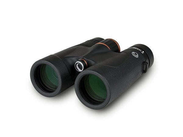 Celestron, Fernglas, Celestron Regal ED 8x42, Produkte & Wohnen