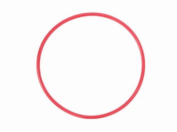 OM System, Unterwasser-Gehäuse Zubehör, Olympus POL-053 O-Ring, Produkte & Wohnen
