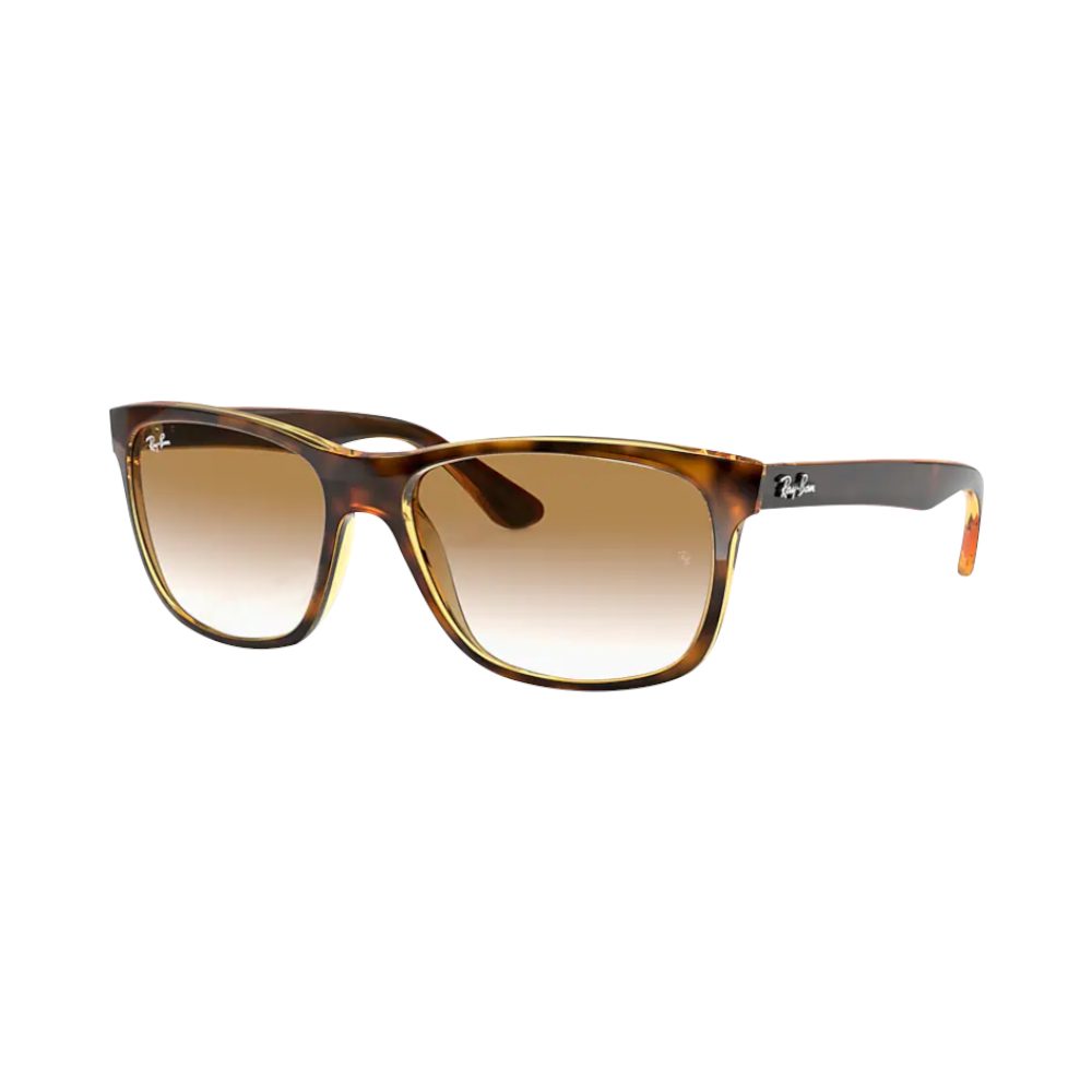 Ray Ban Rb4181 710/51 Wayfarer | Sonnenbrillen