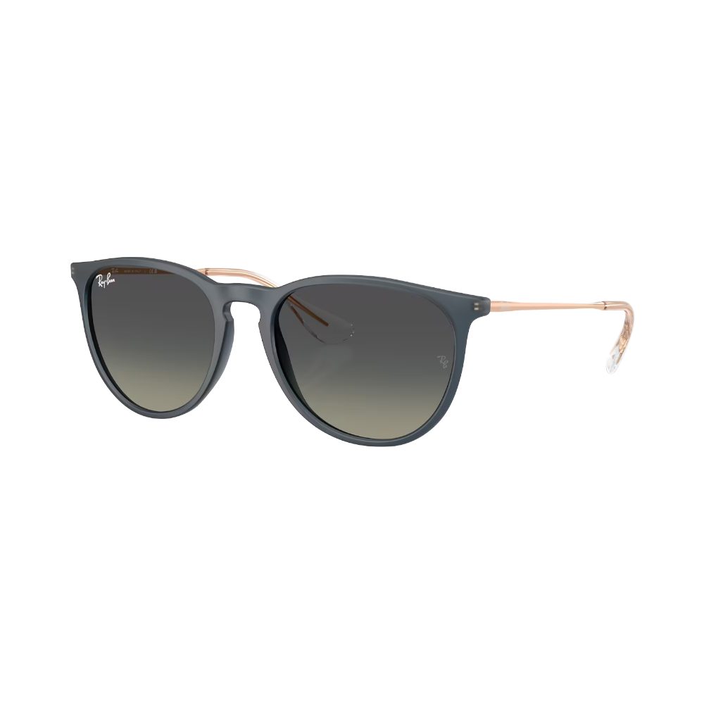 Ray-Ban Erika Rb4171 blau / grau M | Sonnenbrillen
