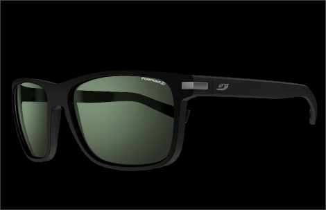 Julbo Wellington J4819014 | Sonnenbrillen