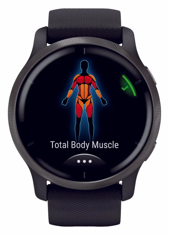 Garmin VENU 2 Black/Slate Smartwatch – schwarz