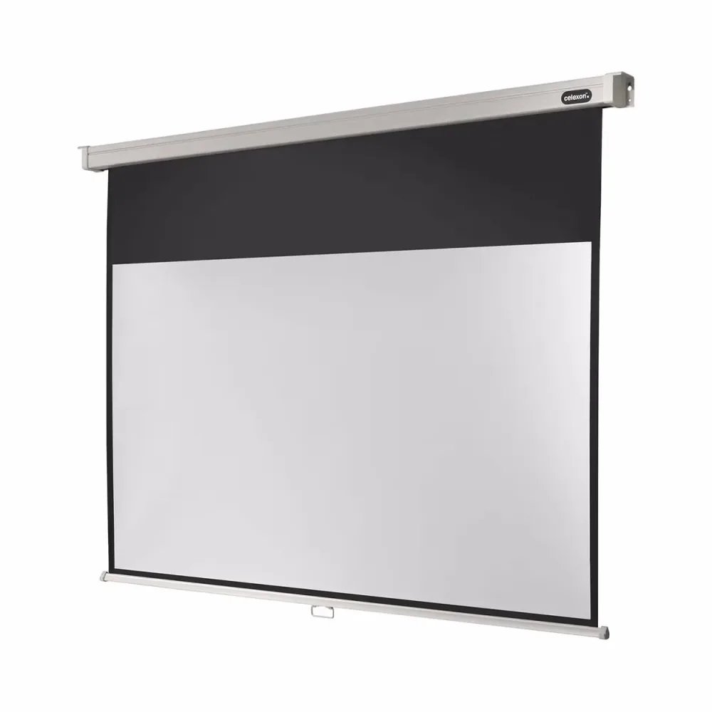 celexon Leinwand Rollo Professional 220 x 124 cm - 99