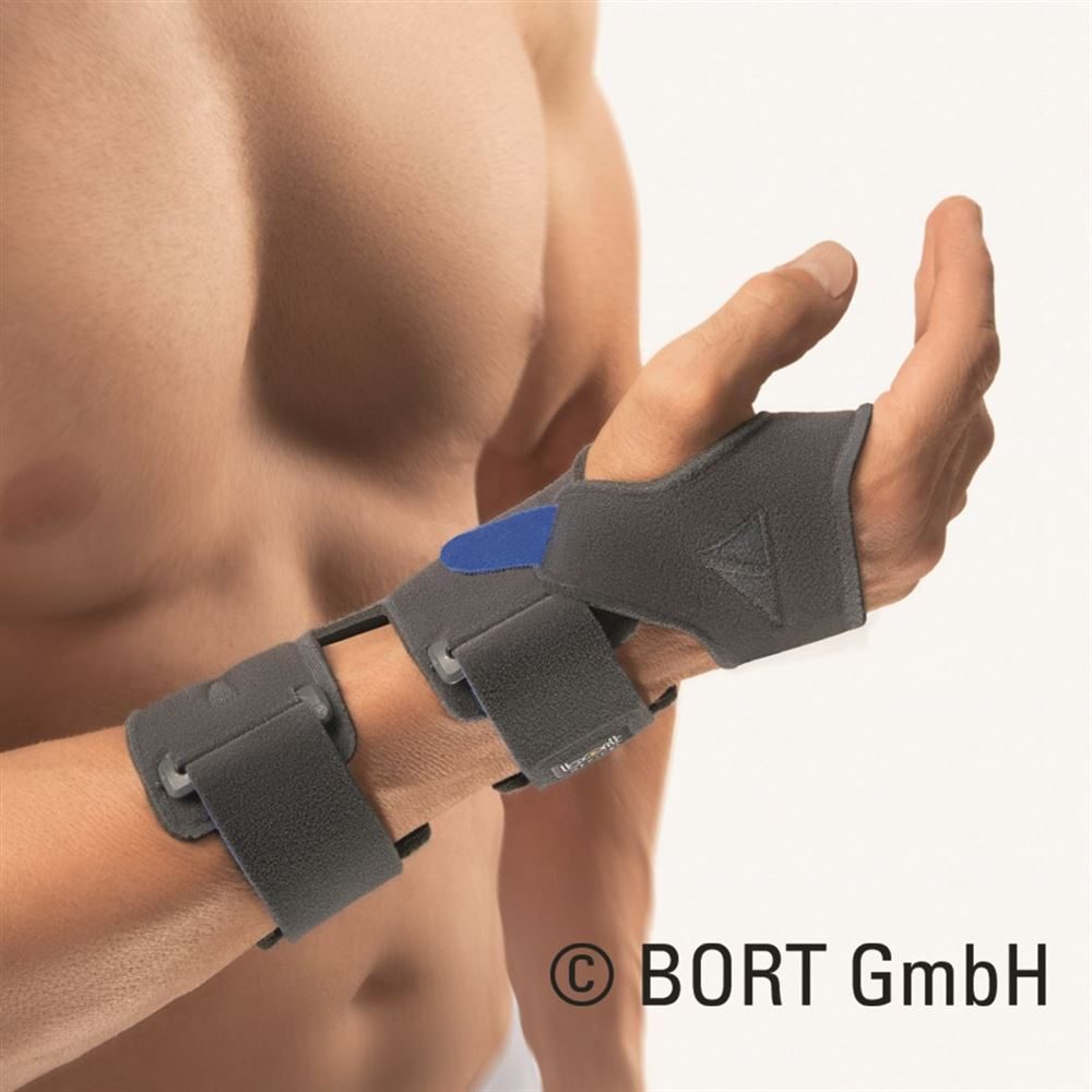 bort Dr Schütz S rechts grau (1 Stück)