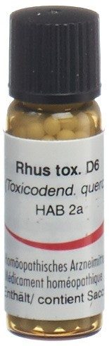 Omida Rhus toxicodendron Glob D 6 2 g