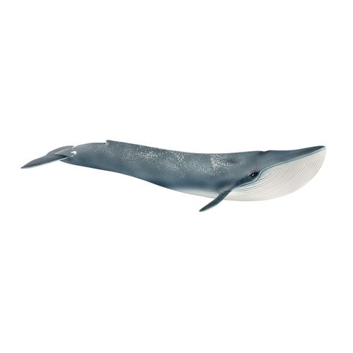Schleich® Spielfigur (14806), »Wild Life, Blauwal«