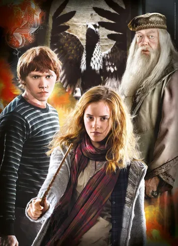 Clementoni - Puzzle 3er Set Harry Potter (1000Teile)