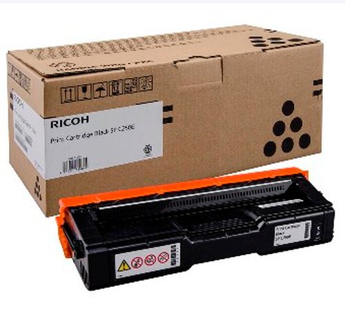 Toner Schwarz 407543