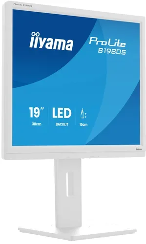 iiyama Monitor ProLite B1980S-W1