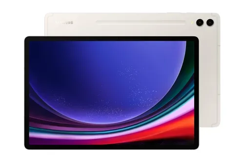 Samsung Galaxy Tab S9+ WiFi 512GB Grau  - sehr guter Zustand mit OVP und Ladekabel (Trade) und S Pen