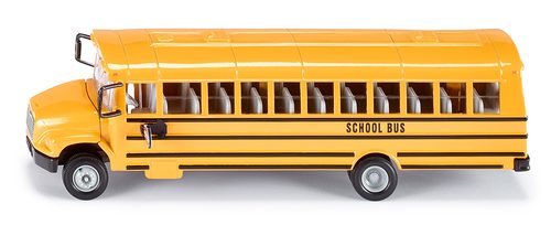Schulbus