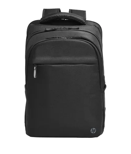 HP Professional 17,3