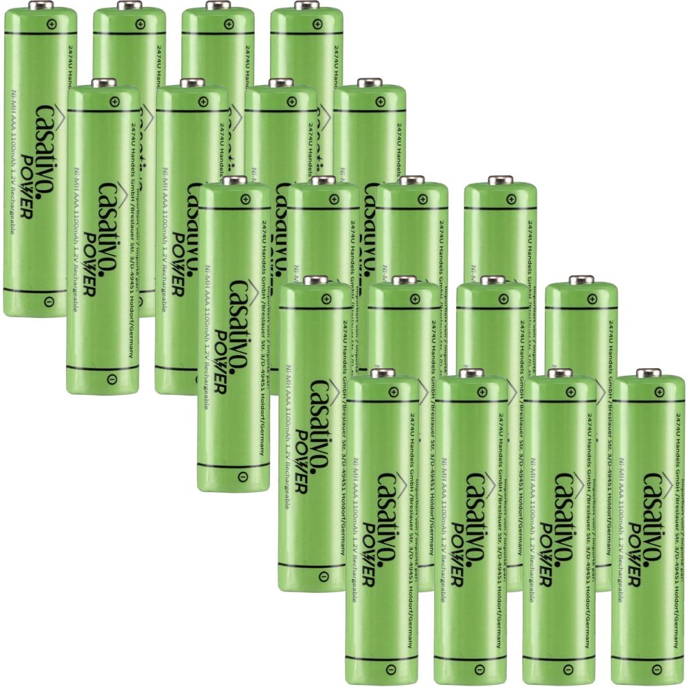 20er-Set NiMH-AAA/Micro-Akkus, 1.100 mAh, mit Transport-Case