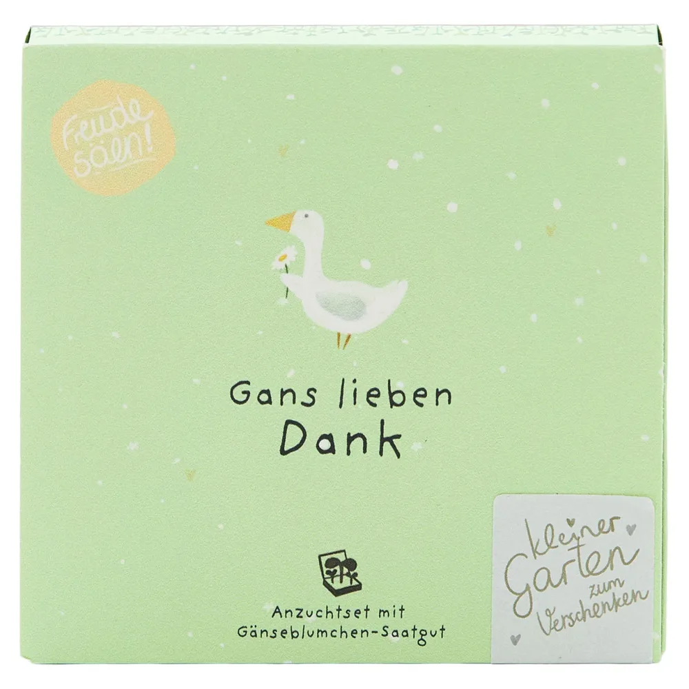 Gänseblümchen-Pflanzset 