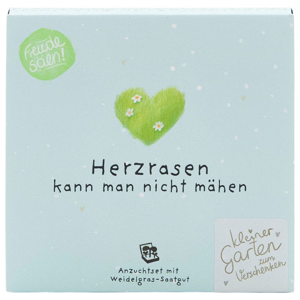 Weidelgras-Pflanzset 