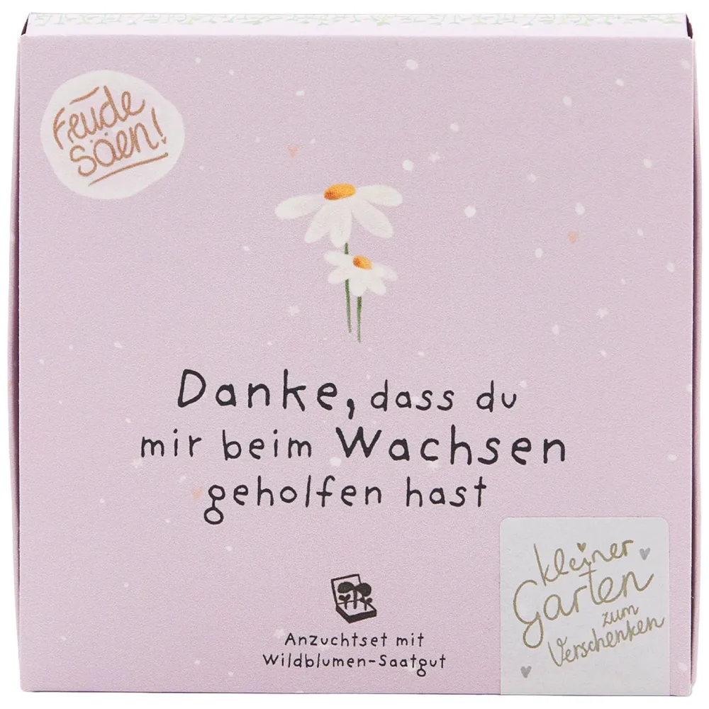 Wiesen-Margeriten Pflanzset 