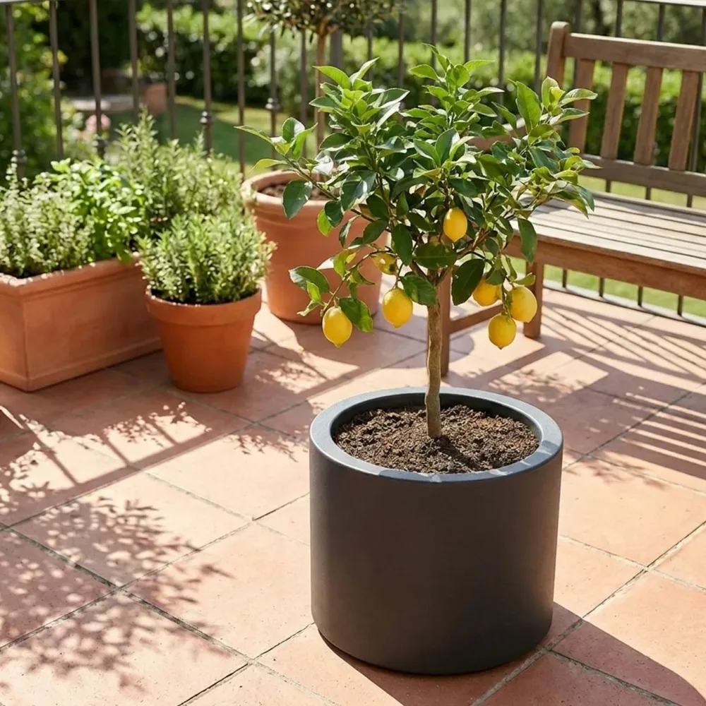 Blumentopf 40L aus Kunststoff, Ø47cm, anthrazit