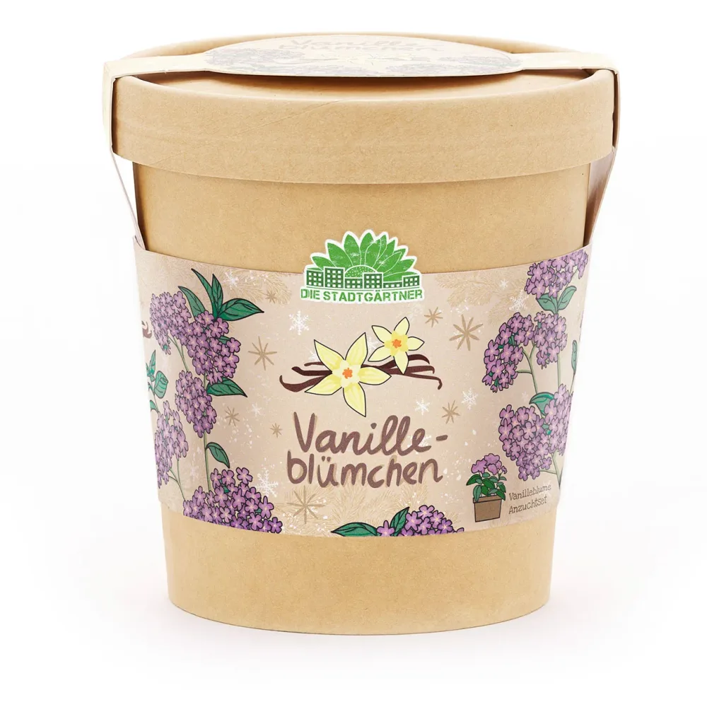 Vanilleblume Anzuchtset im Becher