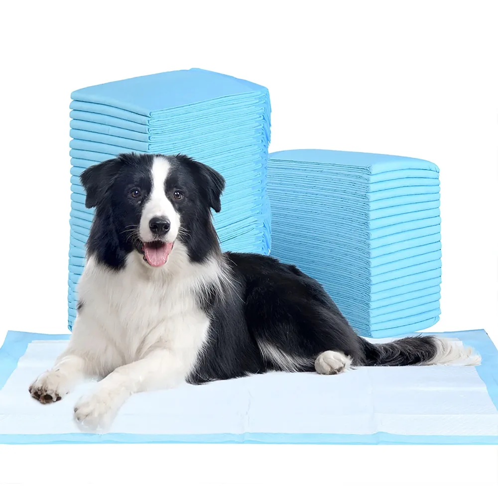 Trainingspads 20 Stück für Hunde, 5-lagig, auslaufsicher, 60 x 90 cm