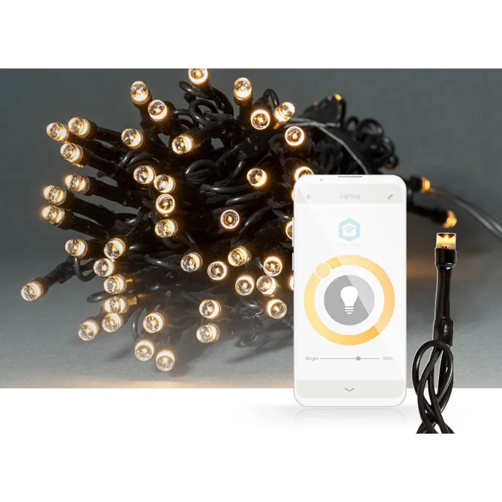 SmartLife LED Lichterkette, 50 LEDs, dimmbar, 7 Lichtmuster, IP65, 5 m