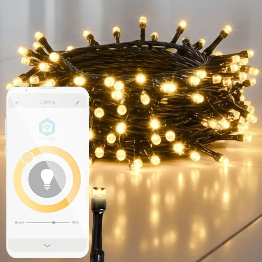 SmartLife LED Lichterkette, 100 LEDs, dimmbar, 7 Lichtmuster, IP65, 10 m