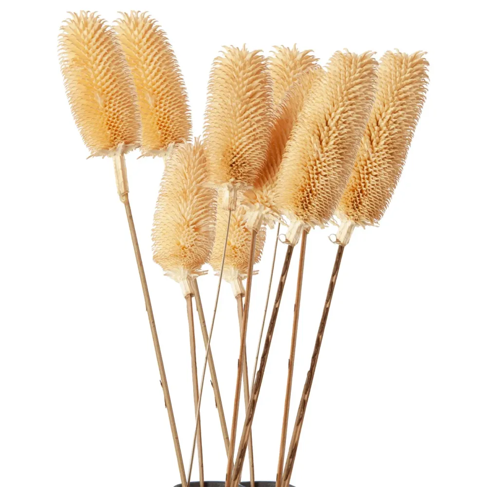 2er-Set Trockenblumen weisse Disteln mit je 5 Zweigen, Blumen Dekoration, je 70 cm