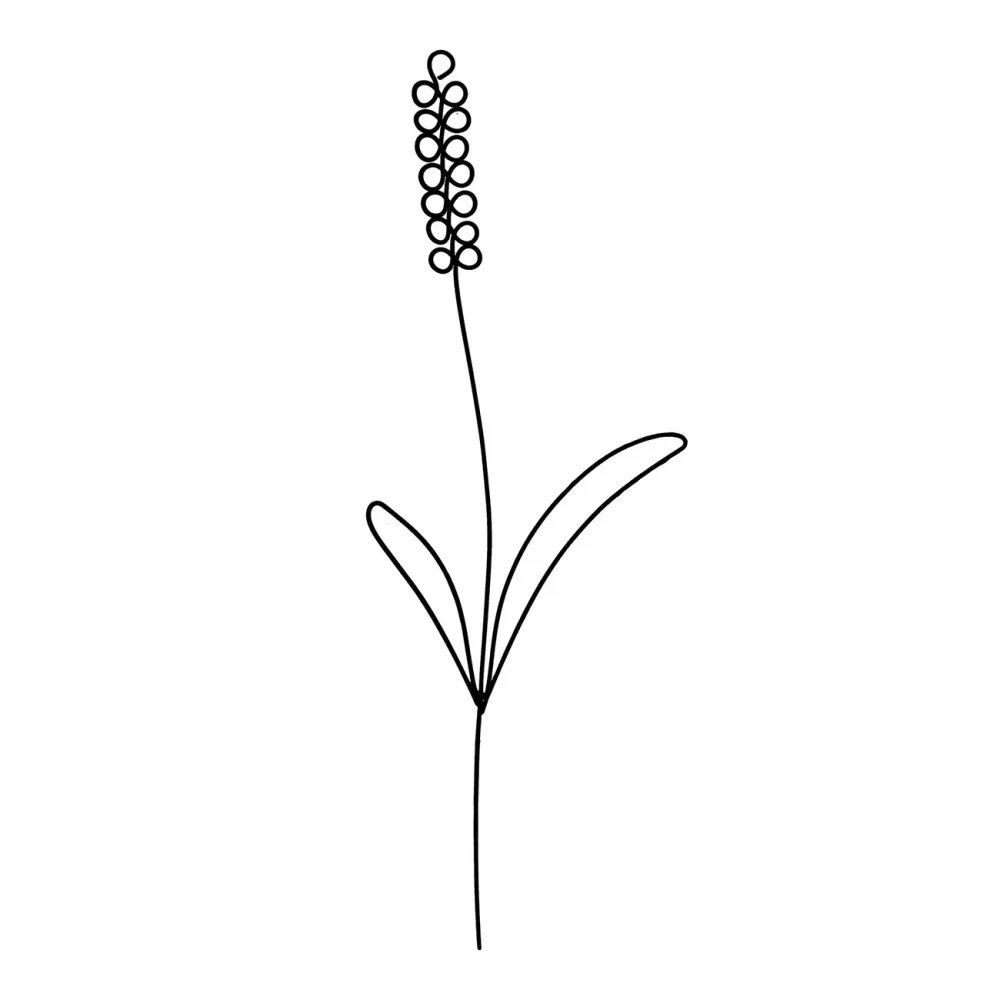 Feiner Lavendel Gartenstecker, Beetstecker aus Eisen, 22 x 7 x 0,2 cm