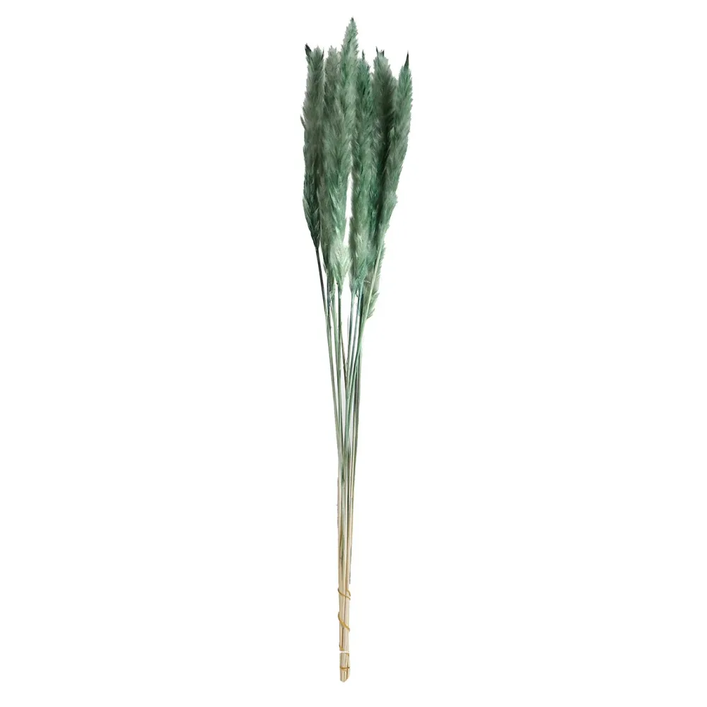 Pampasgras im 10er-Bund, Trockenblumen hübsche Deko in Vasen oder Gestecken, grün, 75 cm