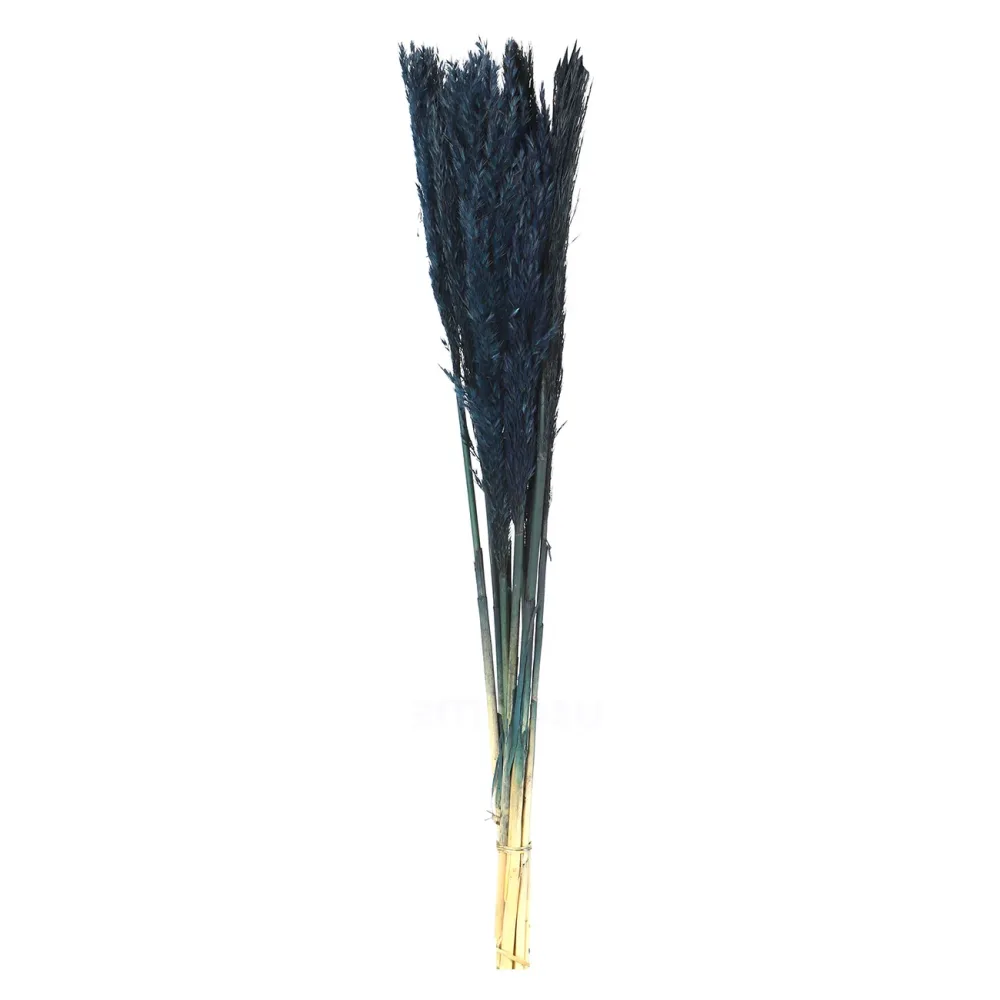 Pampasgras im 10er-Bund, Trockenblumen Deko in Vasen oder Gestecken, dunkelblau, 75 cm