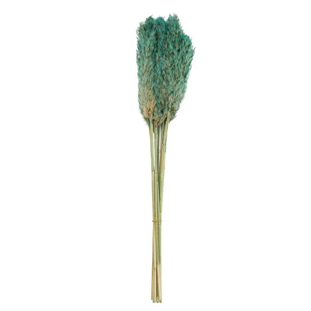 Pampasgras im 10er-Bund, Trockenblumen Deko in Vasen oder Gestecken, hellgrün, 75 cm