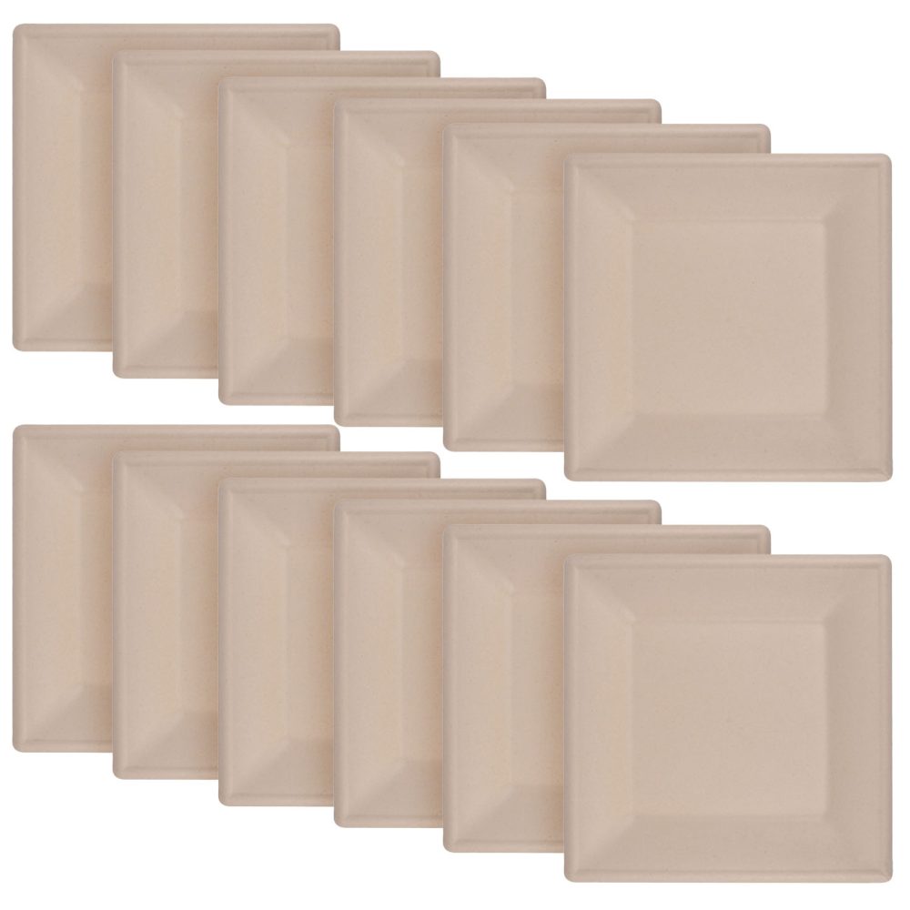 Teller eckig aus Zuckerrohr 12er-Set, Teller biologisch abbaubar, 15 x 15 cm