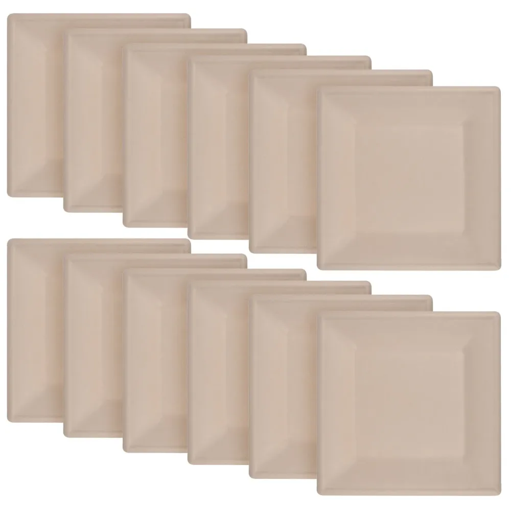 Teller eckig aus Zuckerrohr 12er-Set, Teller biologisch abbaubar, 20 x 20 cm