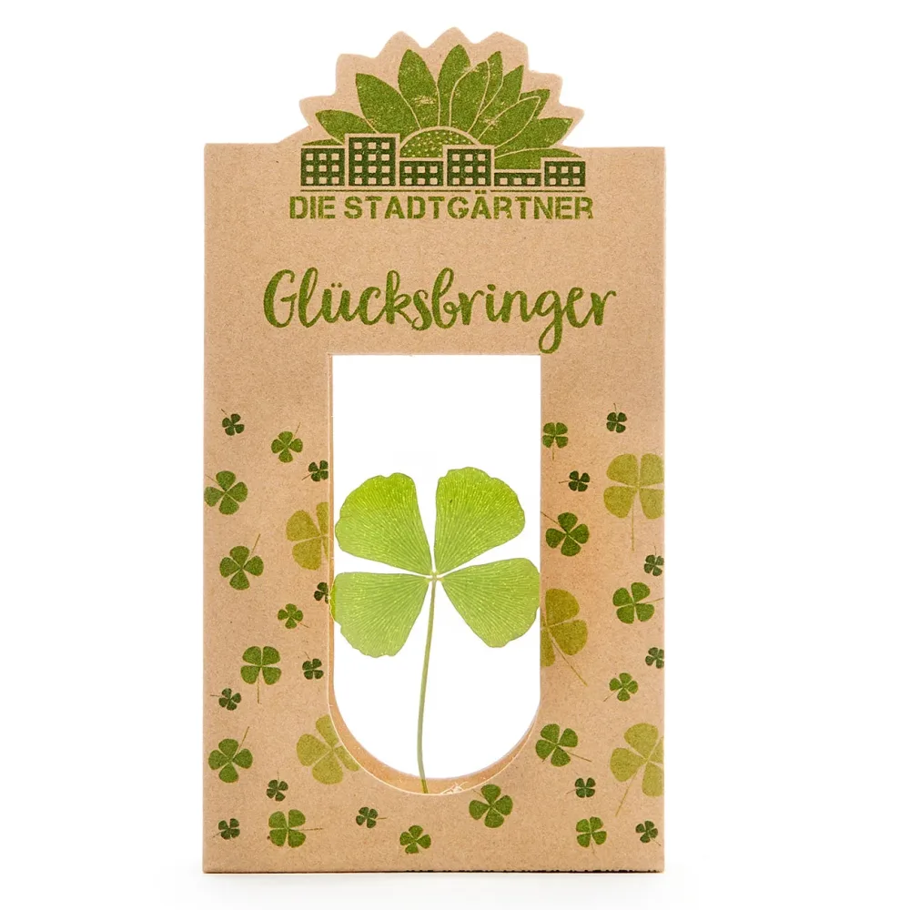 Glücksbringer, vierblättriges Kleeblatt hinter Glas