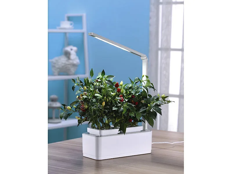 Intelligentes Pflanzen Anzucht System für zwei Pflanzen mit LED Licht