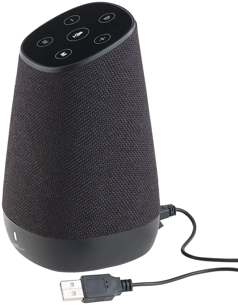 Mobiler WLAN-Multiroom-Lautsprecher mit Amazon Alexa und Akku, 30 Watt