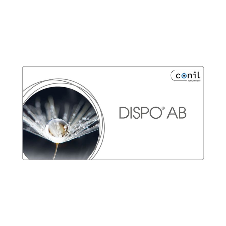 Dispo AB - 6 Monatslinsen