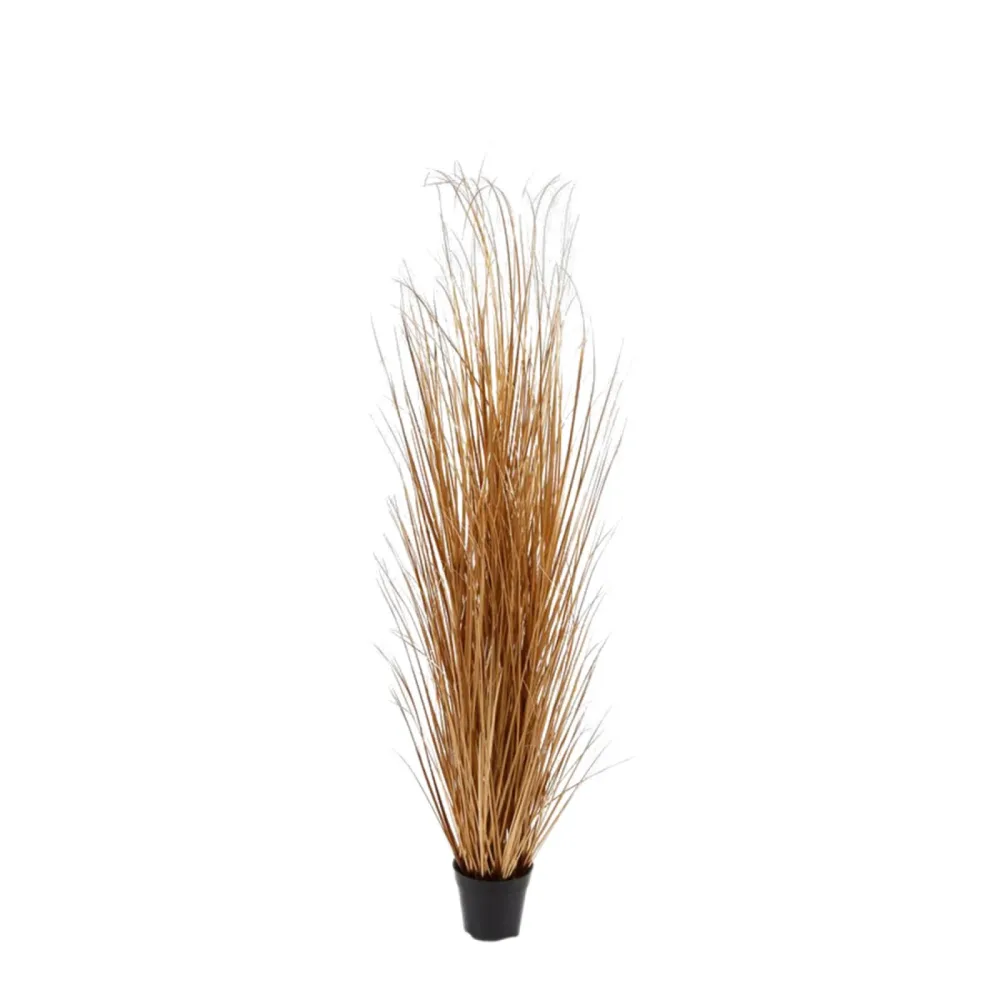 Edg Kunstpflanzen Schilfgras Gold H: 150 cm  | Schubiger Möbel