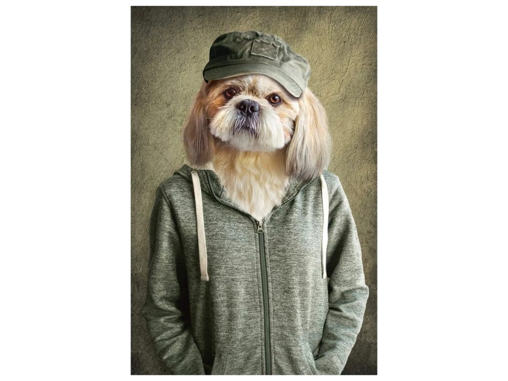 image LAND Digitaldruck auf Glas Witziger Hund mit Jacke  | Schubiger Möbel
