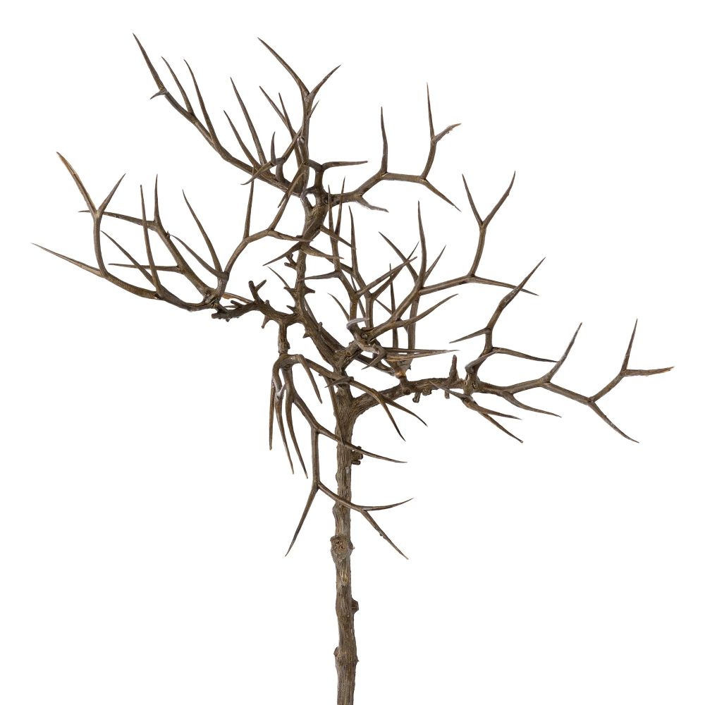 Gasper Kunstblumen Dornenzweig, Natur H: 45 cm  | Schubiger Möbel